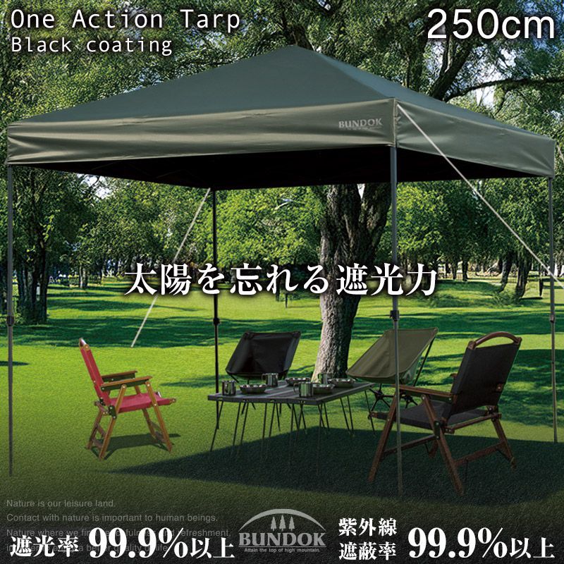 未使用】BIG AGNES サンドウォッシュカータープ CAR TARP テント