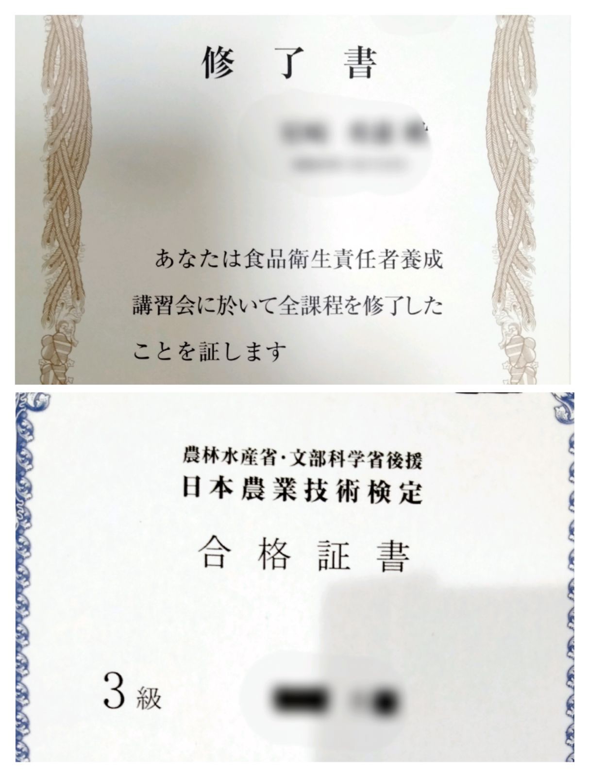 1.0kg　B品　宮崎県綾町産　訳あり品　割り干し大根-2
