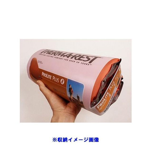 プロライトプラス R