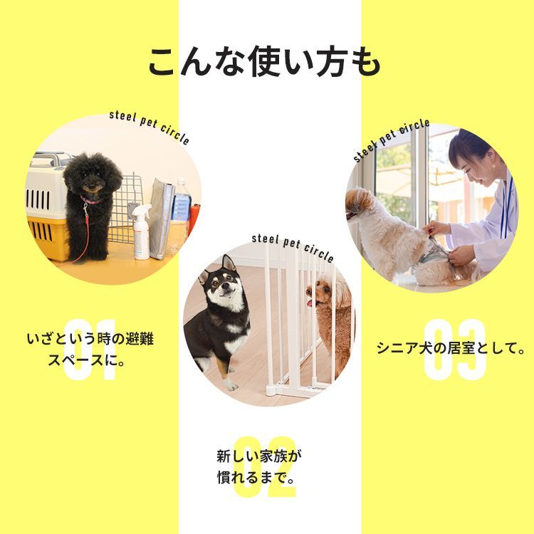 犬