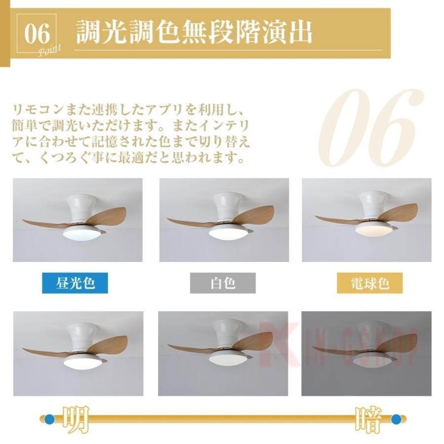 ファン付き照明 天井照明