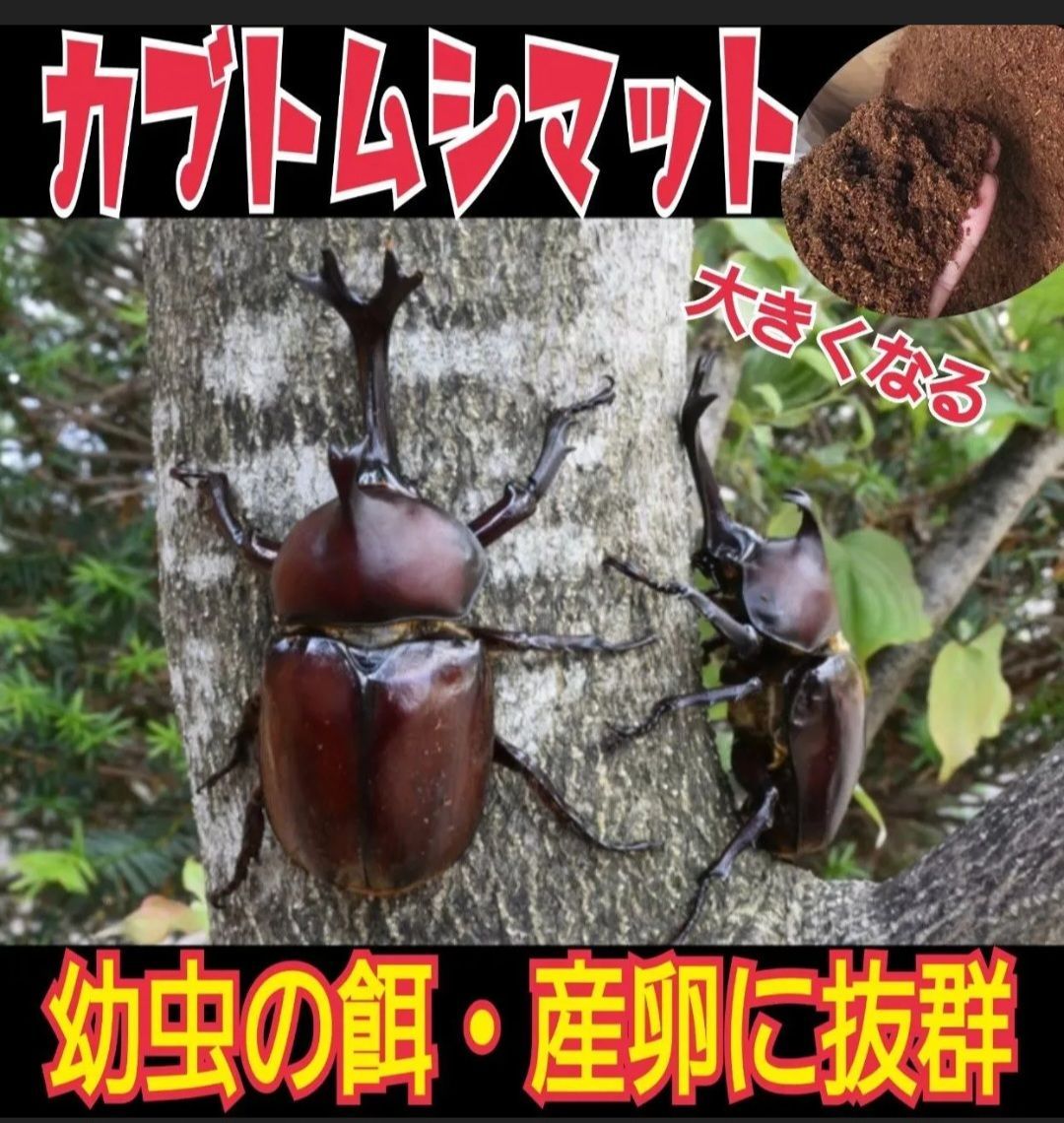 【たっぷり100リットル】ハイコスパ発酵カブトムシマット　幼虫の餌・産卵に抜群！ たっぷり100リットル】ハイコスパ発酵カブトムシマット 幼虫の餌