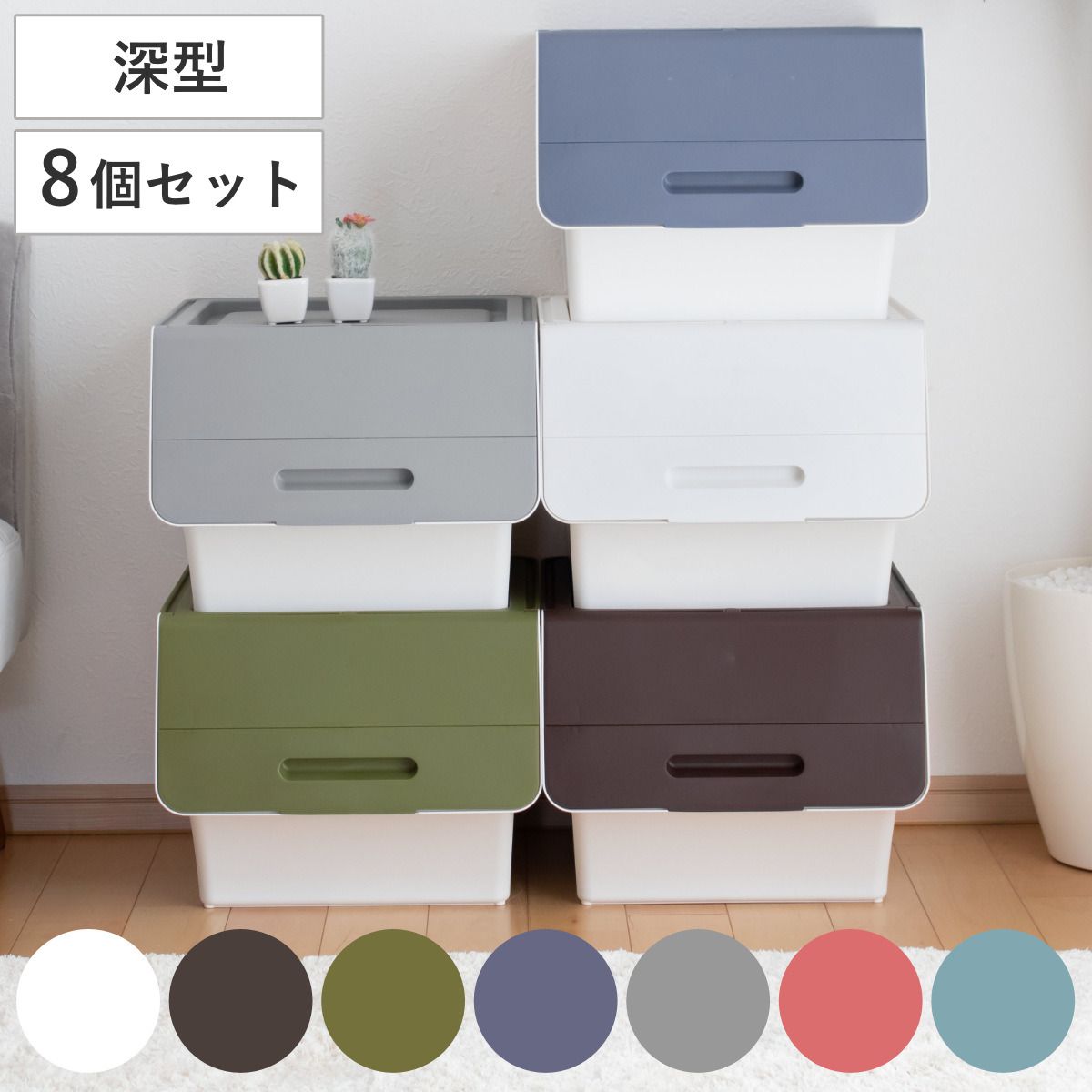 饅頭 グラキリス 現地球 まん丸 美株 特選 オレンジ肌 緑肌 良型