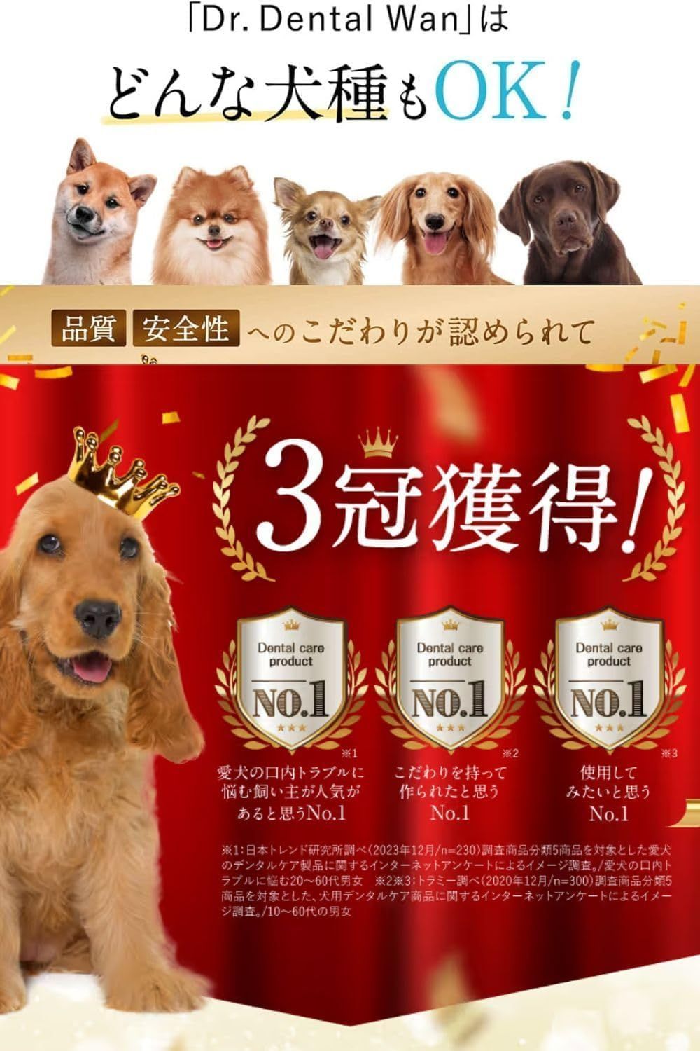 ドクターデンタルワン
