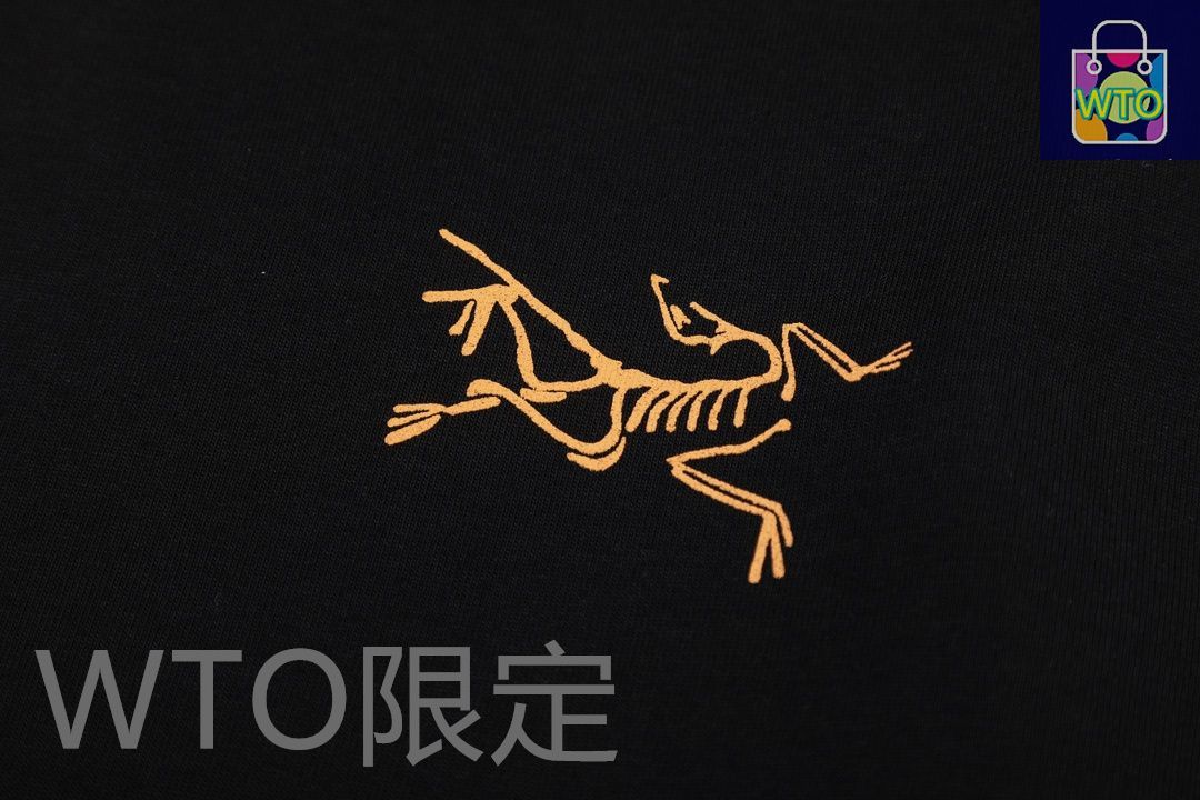 本日限定特価】Arc'teryx メンズ＆レディース ロングスリーブ T