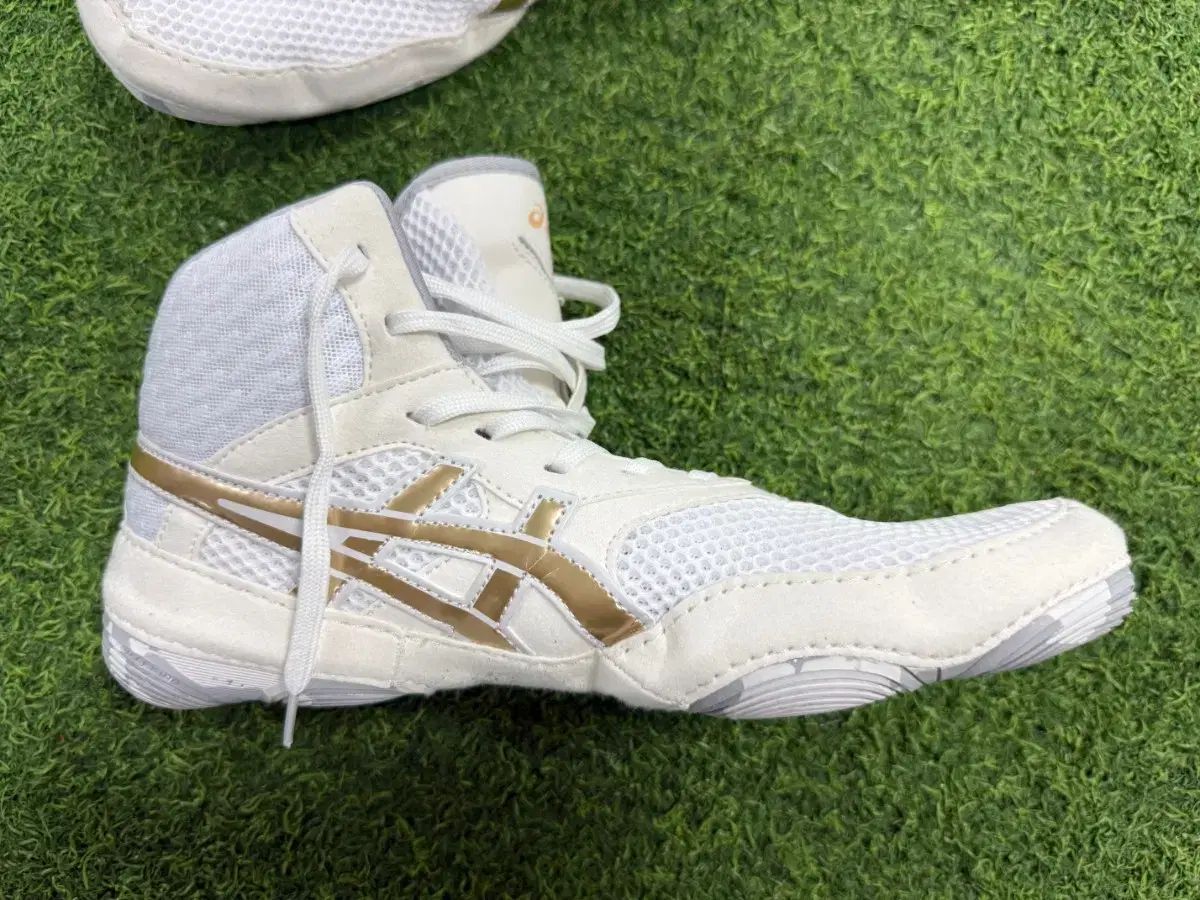 Asics アシックス マット ブレーザー 270