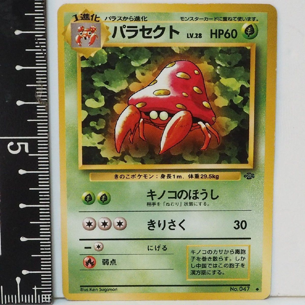 旧裏ポケモンカードゲーム拡張パック第2弾ポケモンジャングル【1進化