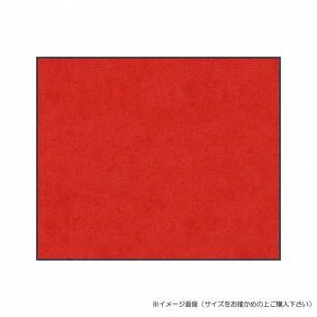 クリーンテックス スタンダードマットS レッド 75×120 cm