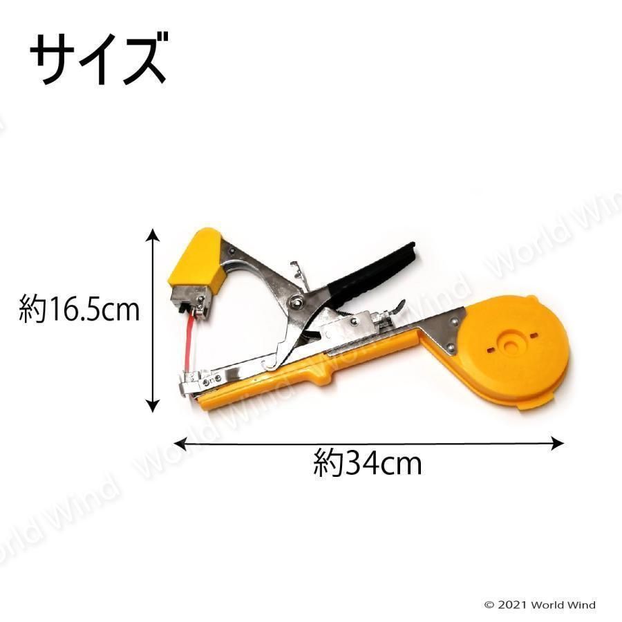 油彩 若井宣夫「コロッセオ」F3