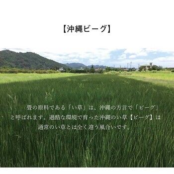 ラグ 純国産 沖縄ビーグのラグ 約191×191cm 裏 不織布 DX沖縄ビーグ