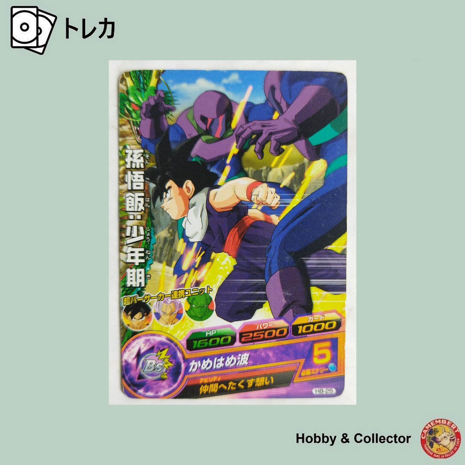 銀さん専用 ドラゴンボールヒーローズ 孫悟飯少年期 H8-25 ドラゴンボールヒーローズ ( #12516