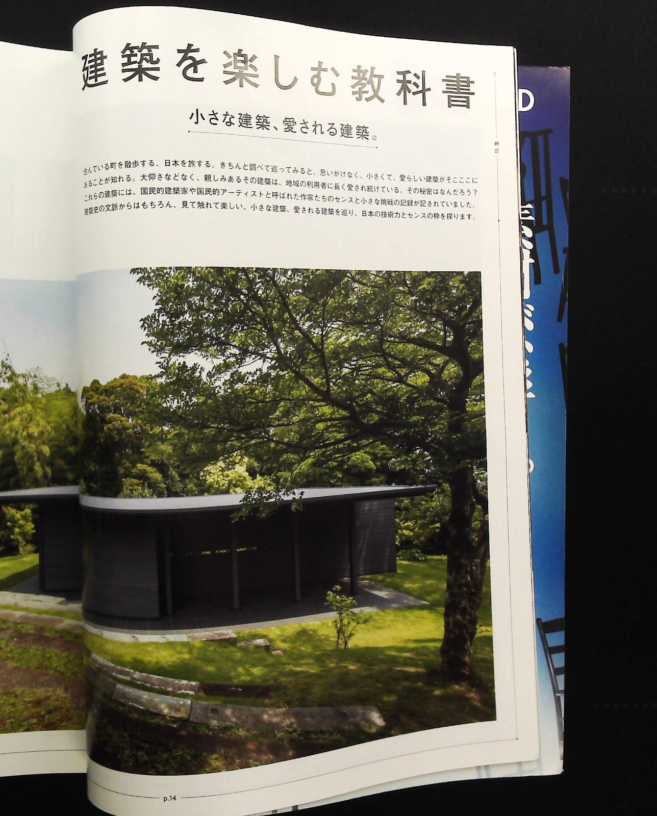 建築　教科書　本 BRUTUS 建築を楽しむ教科書 伝統建築編 - メルカリ