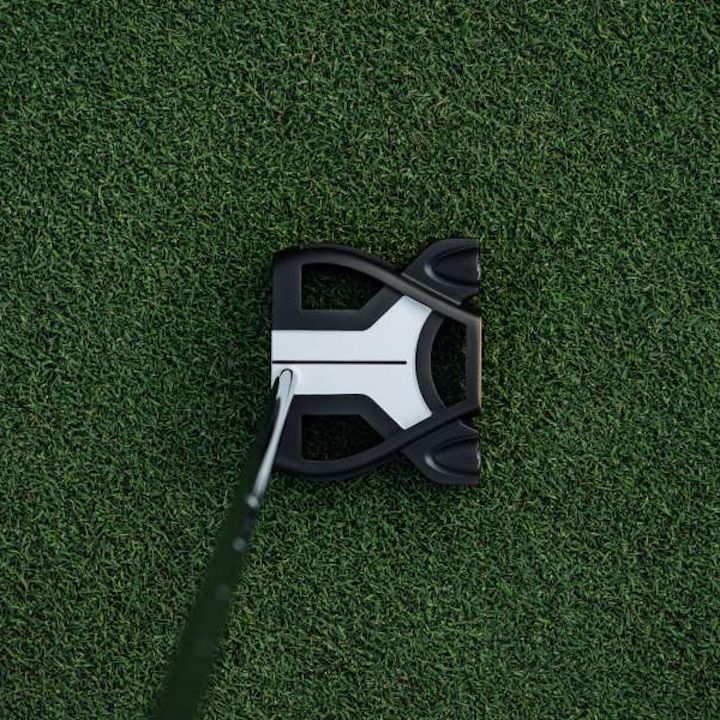 長尺】テーラーメイドSpider TOUR S 46インチ