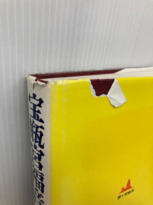 宝瓶宮福音書 リバイ・ドーリング 宝瓶宮福音書 リバイ・ドーリング著