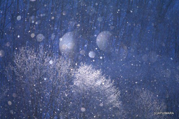 アートフォト アートフォト 絵画 ダイヤモンドダスト10 高橋真澄/インテリア 額入り 額装込 風景画 油絵 ポスター アート アートパネル リビング 玄関 プレゼント モダン アートフレーム 飾る Mサイズ おし 絵画 ダイヤモンドダスト2 高橋真澄