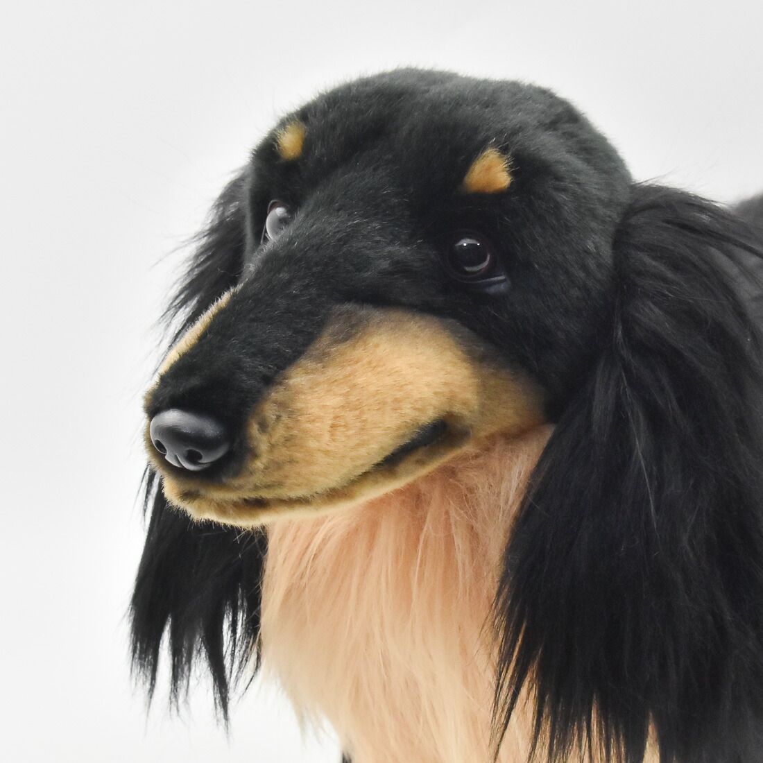 HANSA8511 ミニチュアダックスフンド ロングヘア 59cm DACHSHUND