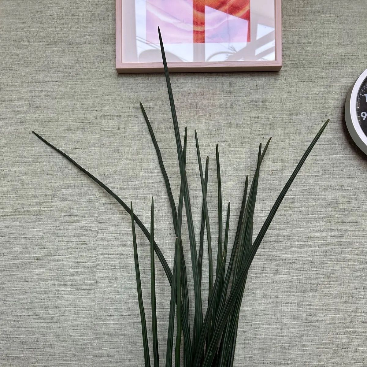 長財布 財布 ラウンドファスナー ラグ生地使用 ウォレット オルテガ