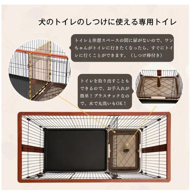 - 子犬