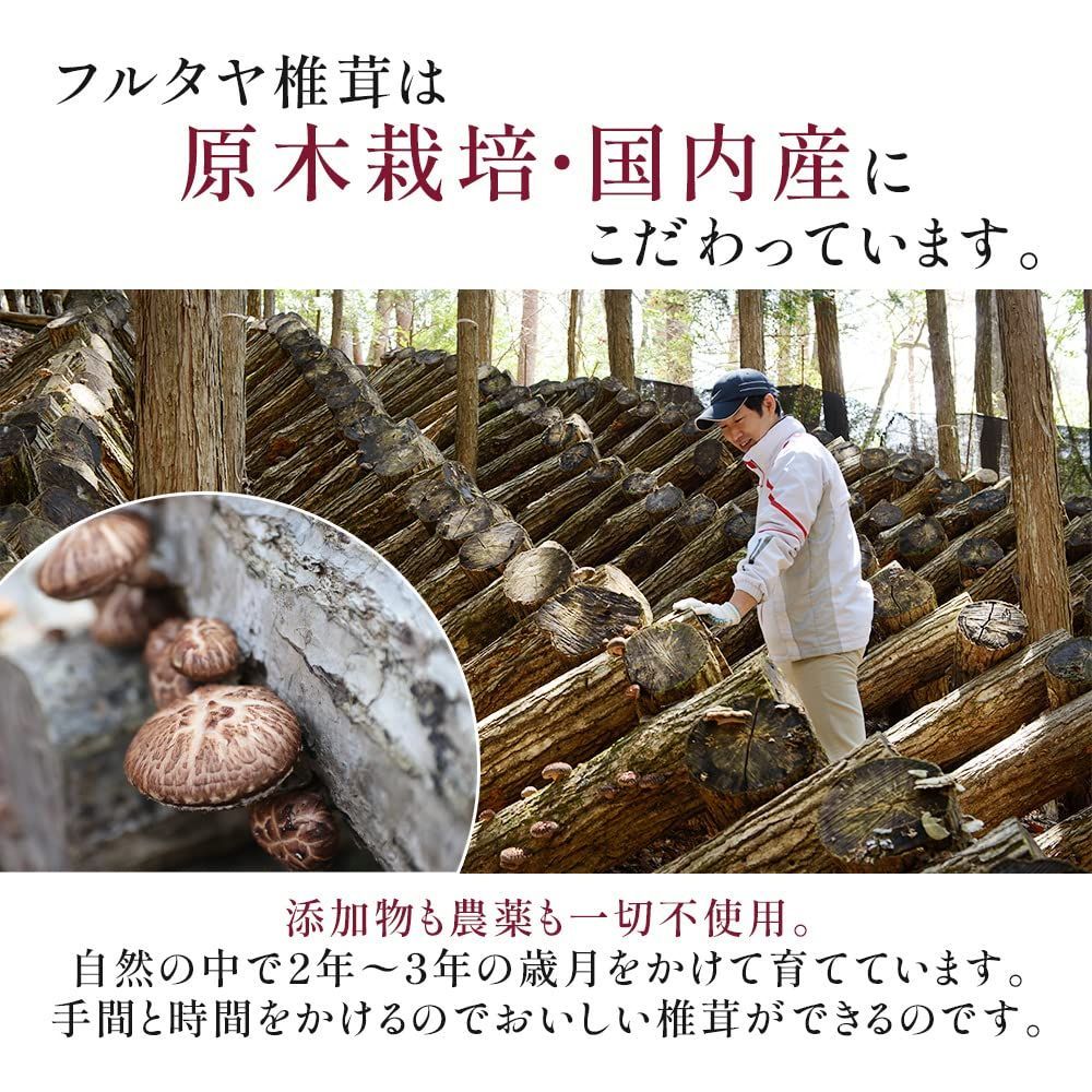 どんこ椎茸500ｇ 産