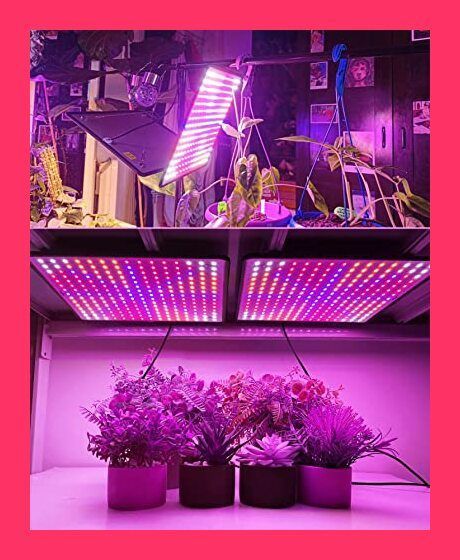 アサヒ軽金属 ゼロ活力なべ 圧力鍋 家庭用 3.0L 調理　未使用 スタッフおすすめ！】GREENSINDOOR 植物育成ライトLED パネル 400W相当