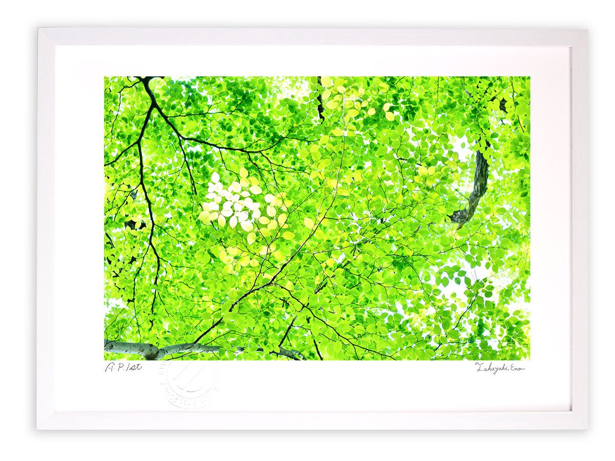 井堂雅夫 【福岡城跡】Masao Ido 150限定 木版画 井堂雅夫 【福岡城跡