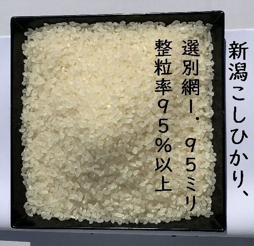 新米 10キロ食べ比べセット 新之助 コシヒカリ 白米5kg各1個 - 越後の