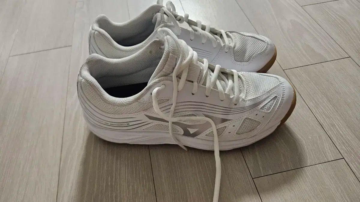 プサン ミズノ サイクロン スピード3 バドミントンシューズ 260