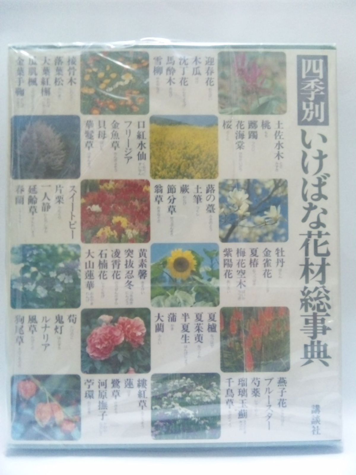 四季・池坊いけばな花材事典 4冊 四季・池坊いけばな花材事典 4冊 本