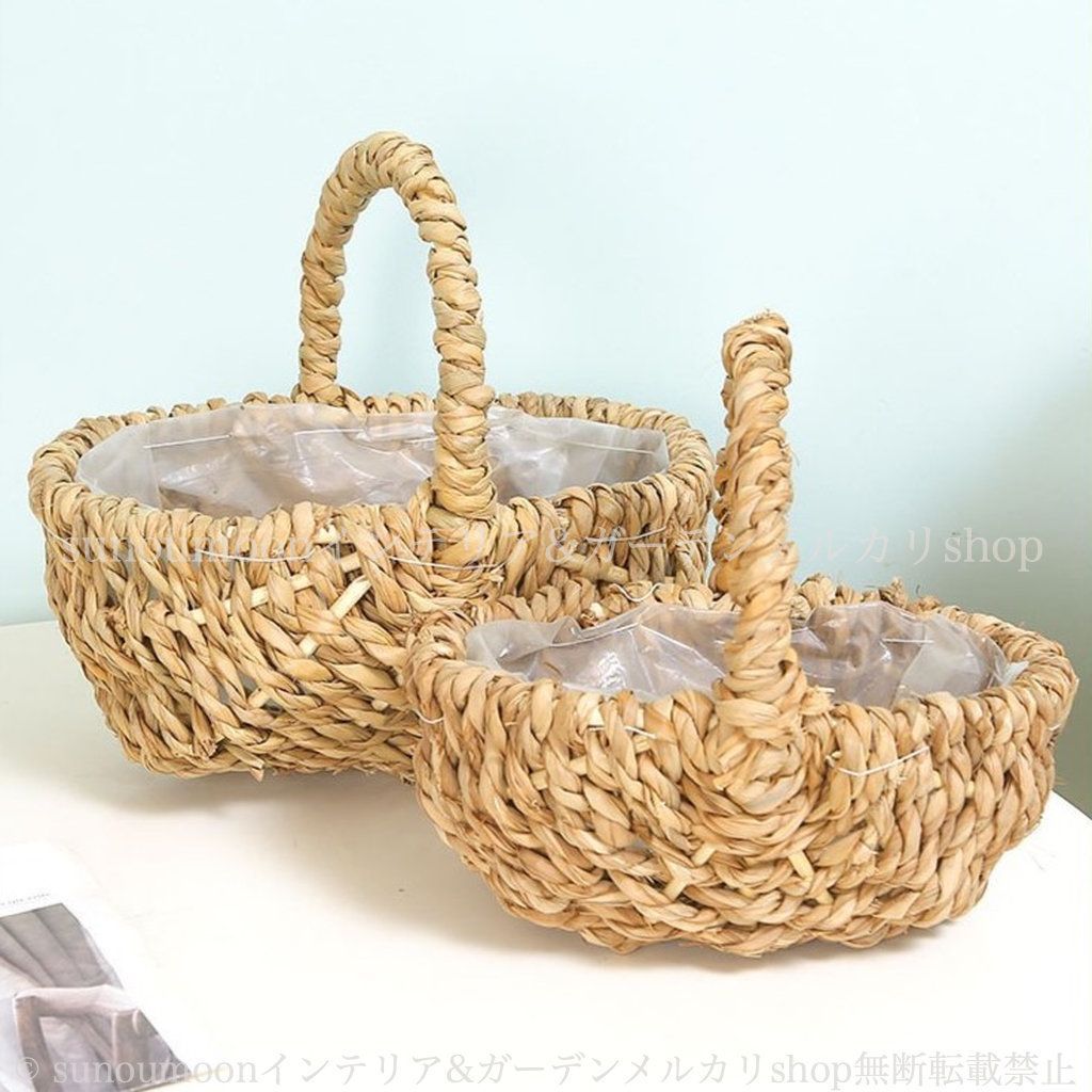 桃花マユハケオモト(小さい増殖芽が出ています) 小さい鉢植え 花