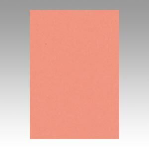 まとめ 色画用紙 文運堂 ニューカラーＲ サーモン 8NCR-127 4954022681272 1冊 ×10セット