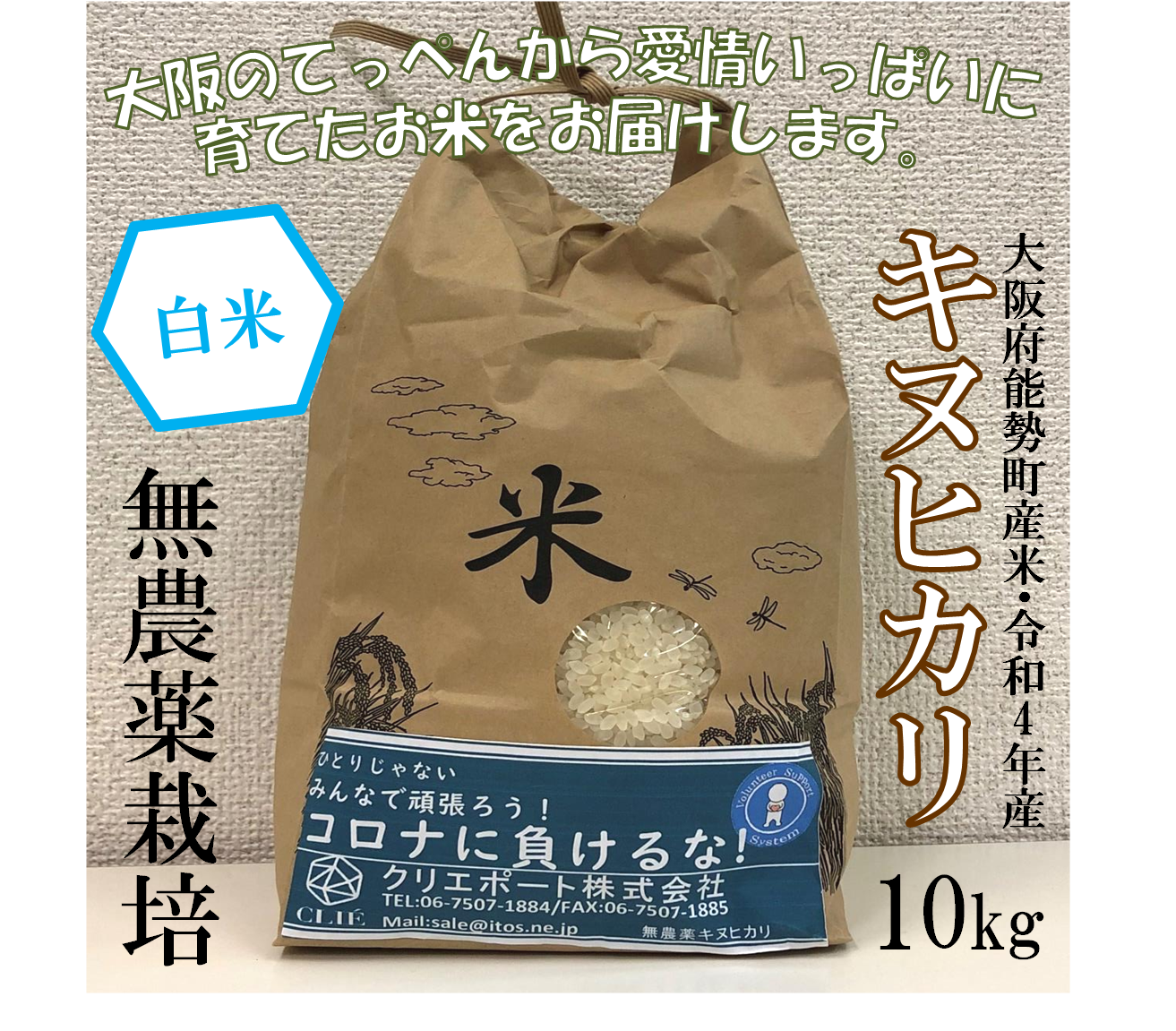 【令和４年産/無農薬栽培】大阪のてっぺんキヌヒカリ　白米10kg　大阪府能勢産