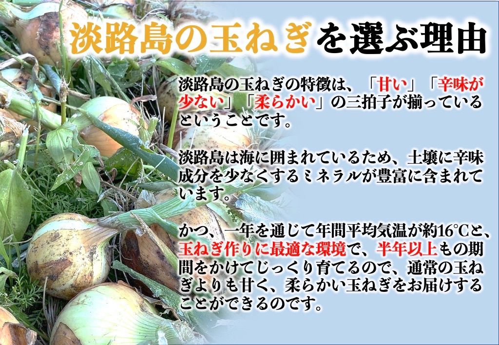 大豊作につき特別価格でご提供‼️  《兵庫安心ブランド取得》産地