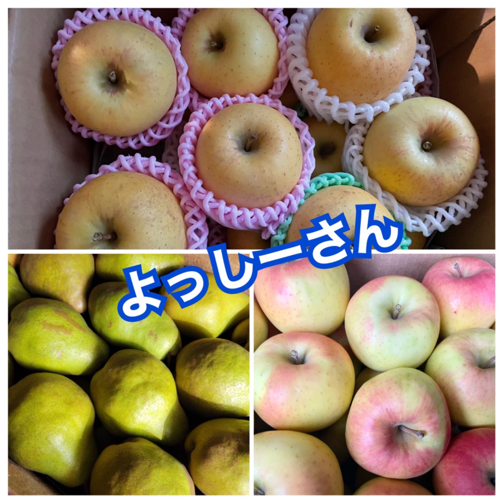 トッシーさん専用 ヨッシーさん専用 ヨッシーさん専用 ヨッシーさん専用 よっしーさん