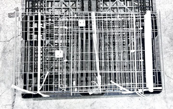 トイレのしつけが出来る