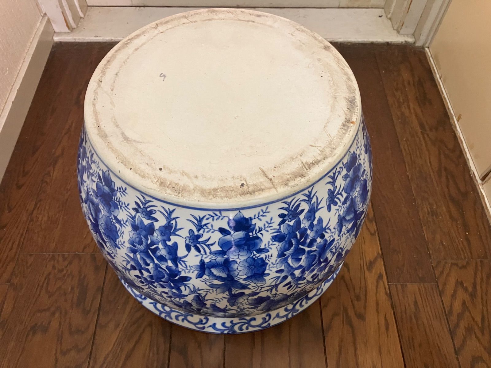 メダカ 睡蓮鉢