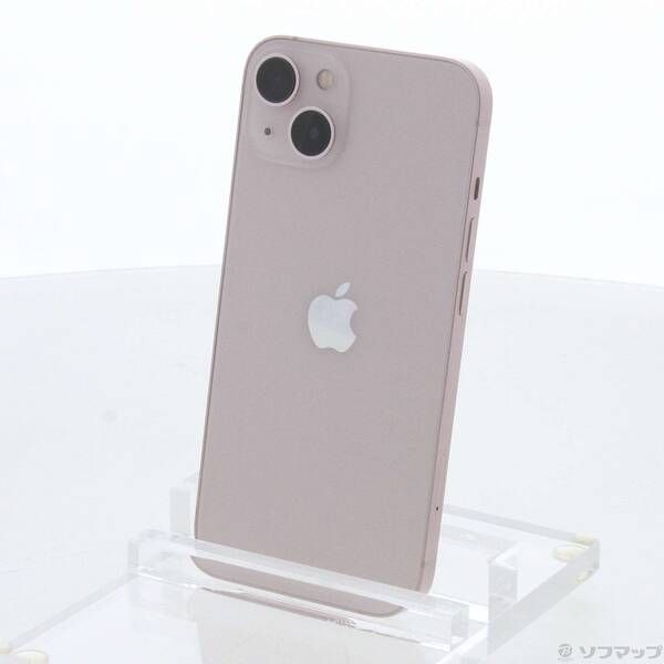 真作】掛軸 山田昇仙 狸之図 静寂に佇む秋の風情 共箱入 S118 真作