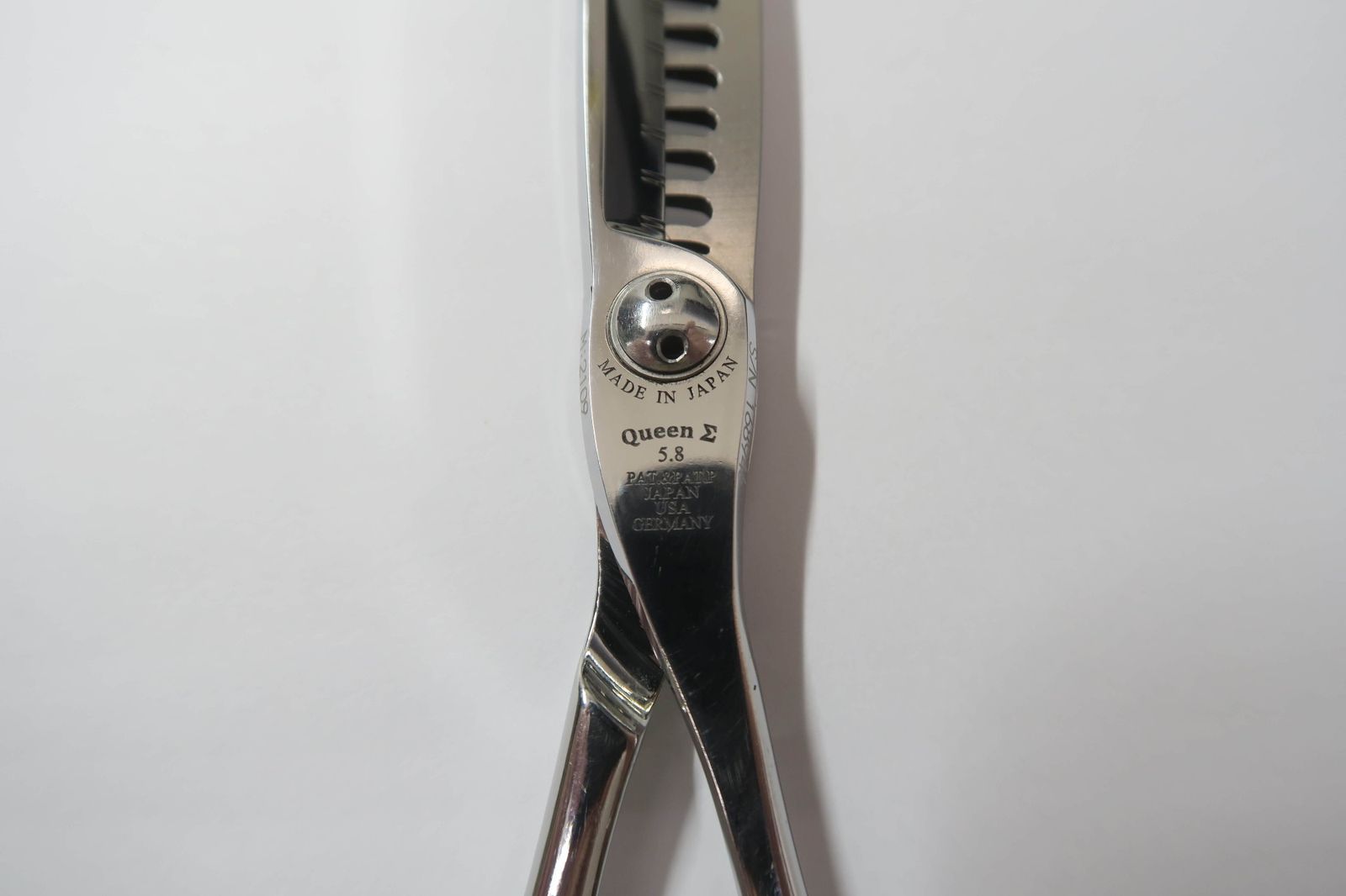 Cランク【トギノン TOGINON】 QUEEN SHIGMA クイーンシグマ 5.8