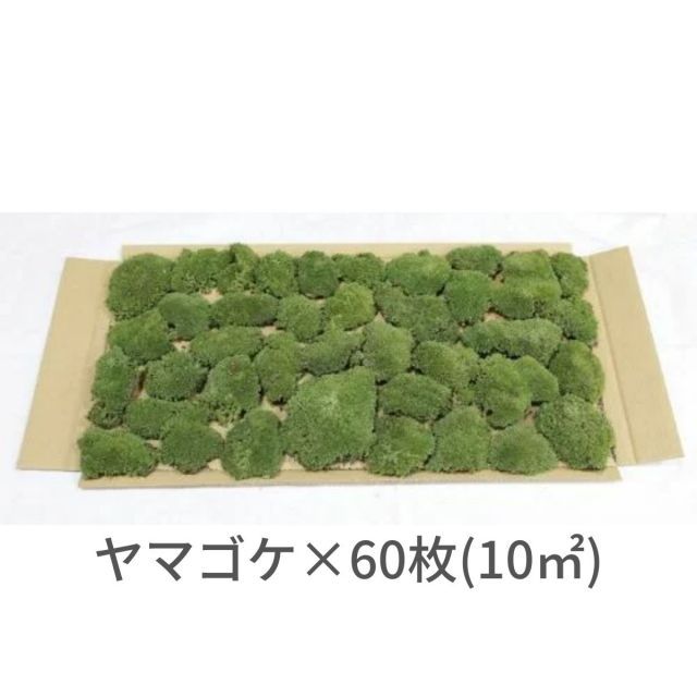 京都産 庭石 大江山 約400kg 観賞石 日本庭園 京都産 庭石 大江山 約400kg 観賞石 日本庭園