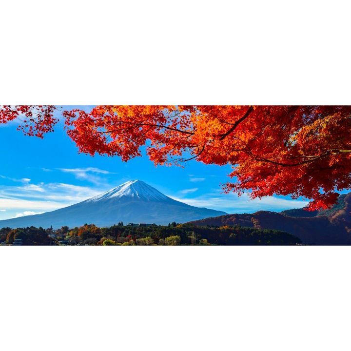 絵画風 壁紙ポスター (はがせるシール式) -地球の撮り方- 河口湖の紅葉まつりと富士山 パノラマ キャラクロ C-ZJP-036P1 (パノラマ版 1440mm×576mm) ＜日本製＞ ウォールステッカー お風呂ポスター