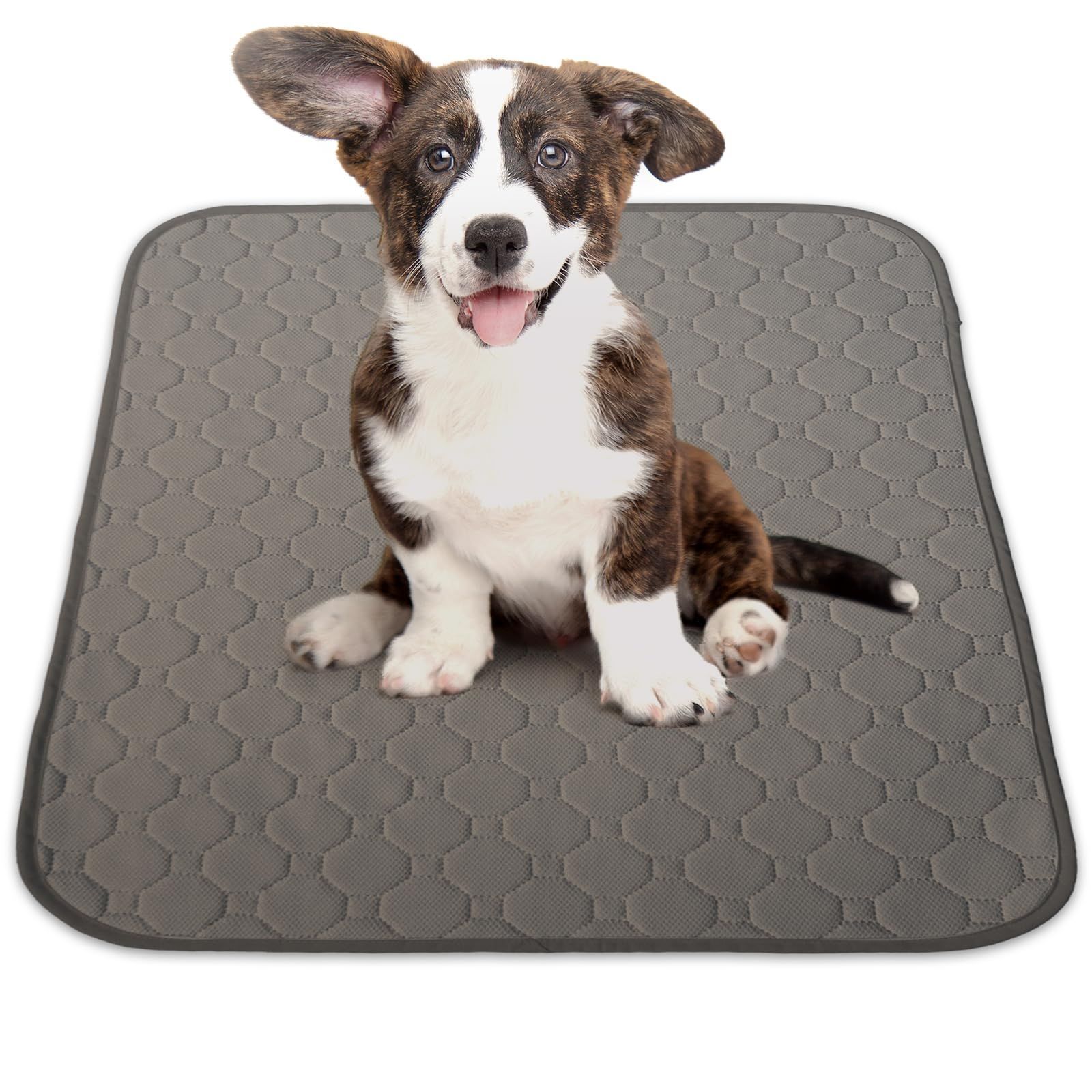 マリア(Maria) ペンシルベイト ラピード F230 230mm 100g 玄界クリア