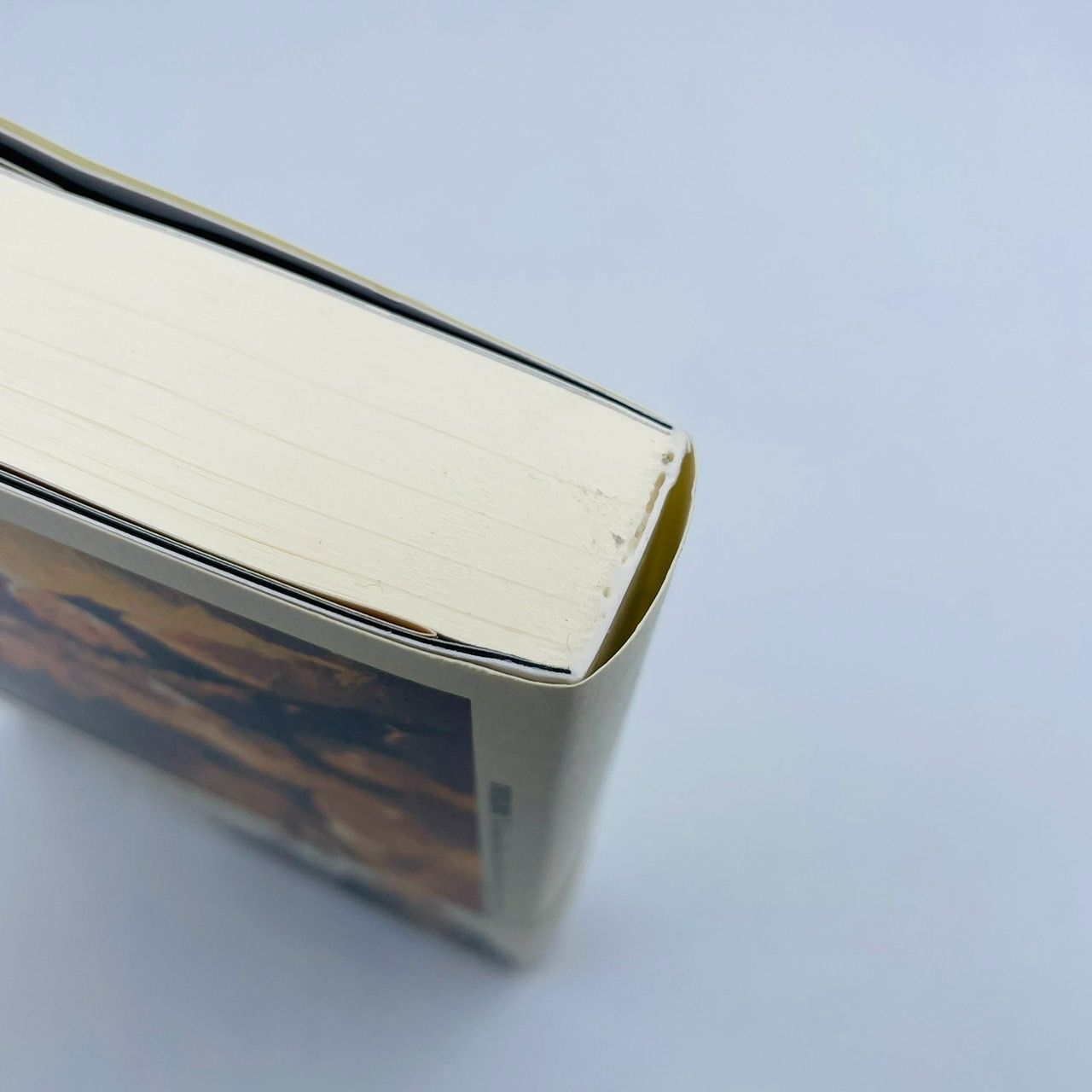 オーバーロード