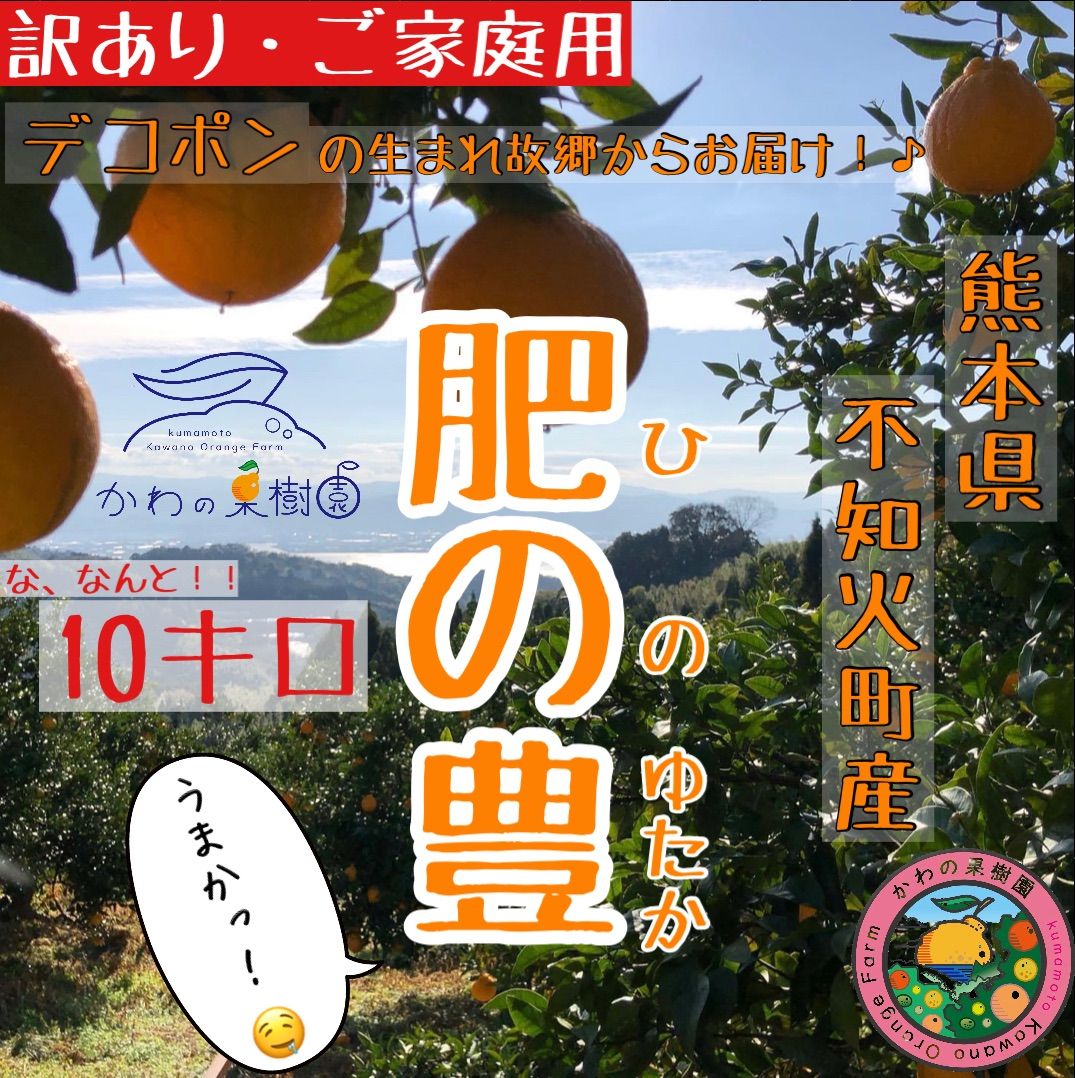 デコポン熊本三角天草産10~15玉5kg弱(箱込)不知火しらぬい新品種肥の豊