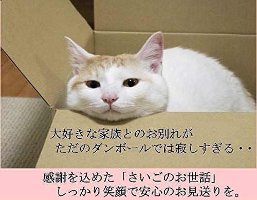 新着商品】ペット用棺 段ボール製 ペット棺 ピンク ペット棺桶 犬用棺