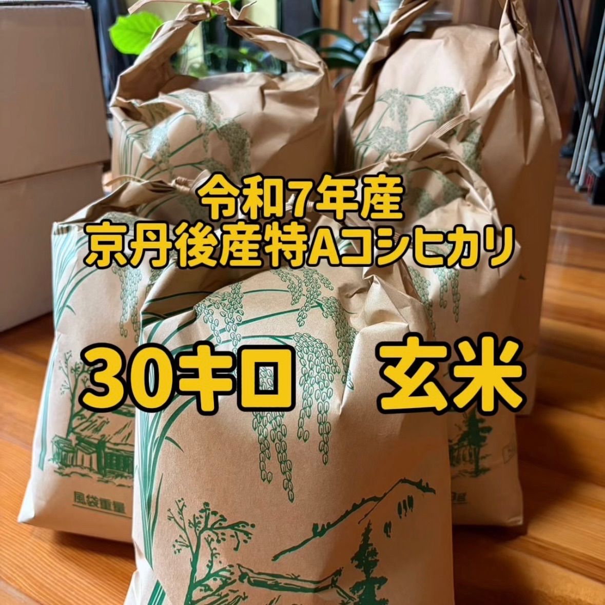 玄米 30kg 令和7年産 京都 丹後 コシヒカリ 送料無料 30kg 玄米 米 令和