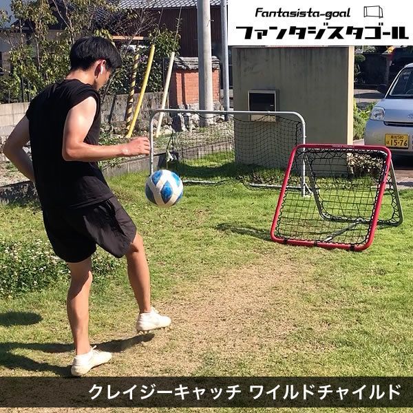Crazycatch