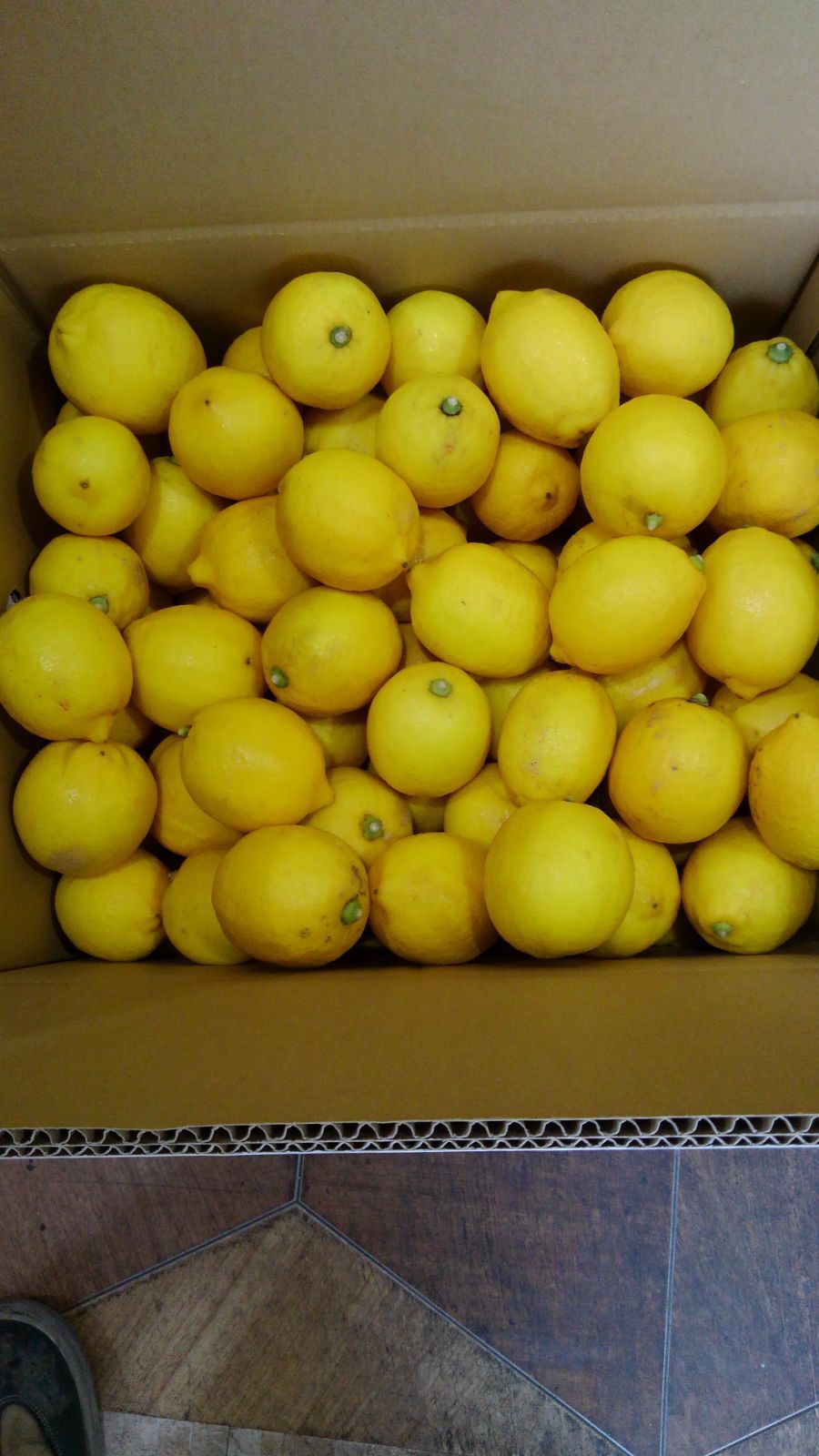 048-lemon10kgw01.jpg
