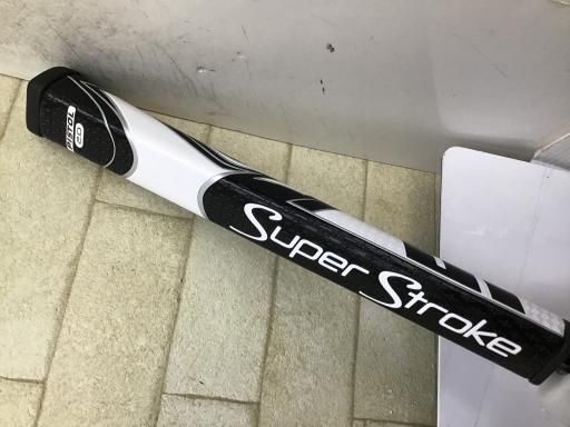 ビカクシダ P.ridleyi dwarf silver 309 ビカクシダ リドレイ 板付け No.309 ビカクシダ P.ridleyi dwarf