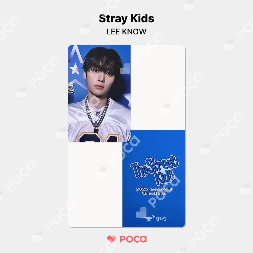 straykids Beyondlive AR チケット　トレカ　リノ straykids リノ スキズ トレカ 2025 Season's Greetings [The