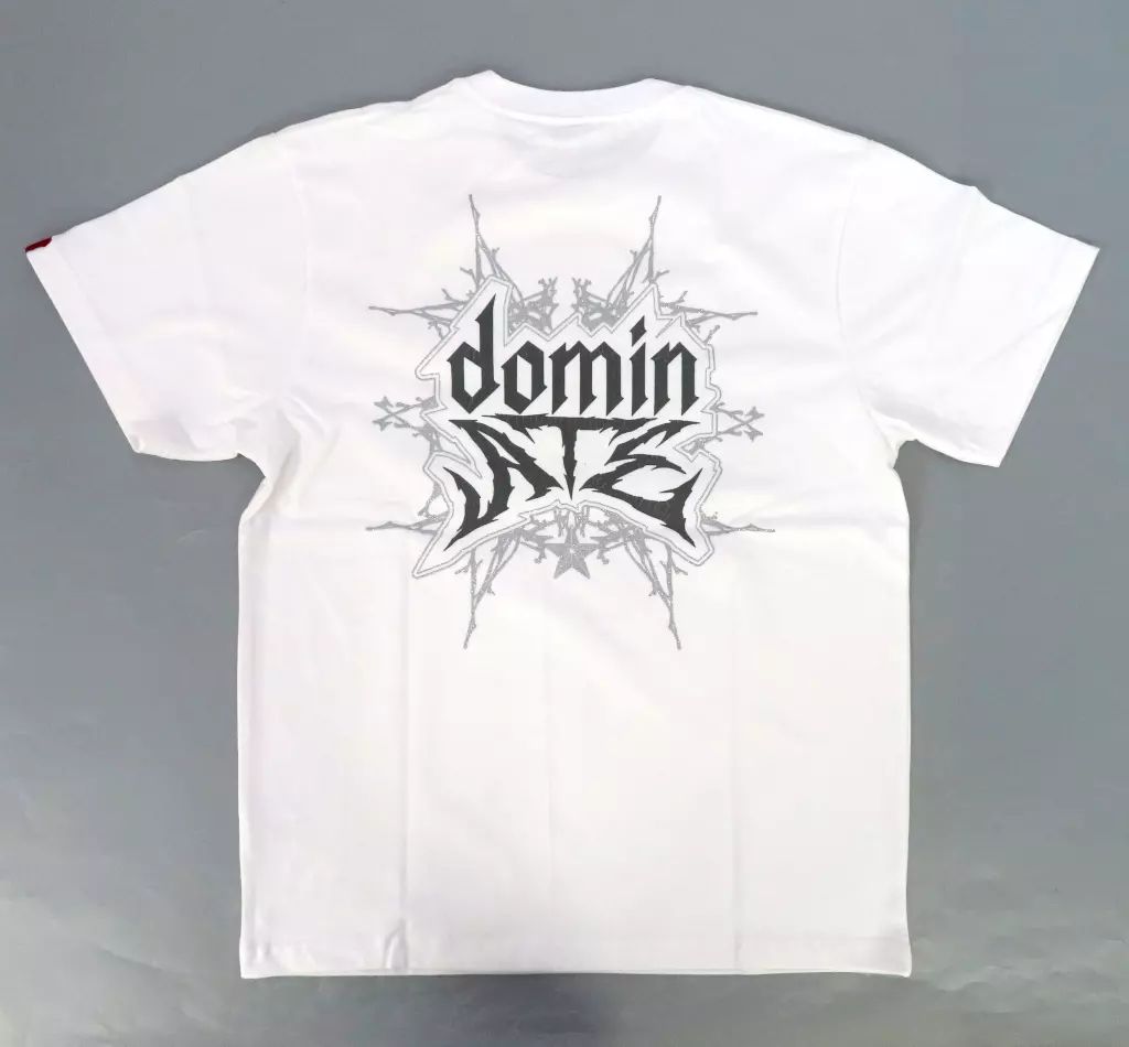 stray kids Tシャツ　dominATE JAPAN エコパ T-SHIRT / BLACK【L】/ Stray Kids『Stray Kids World Tour