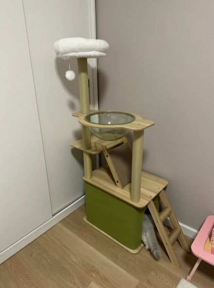 運動不足解消